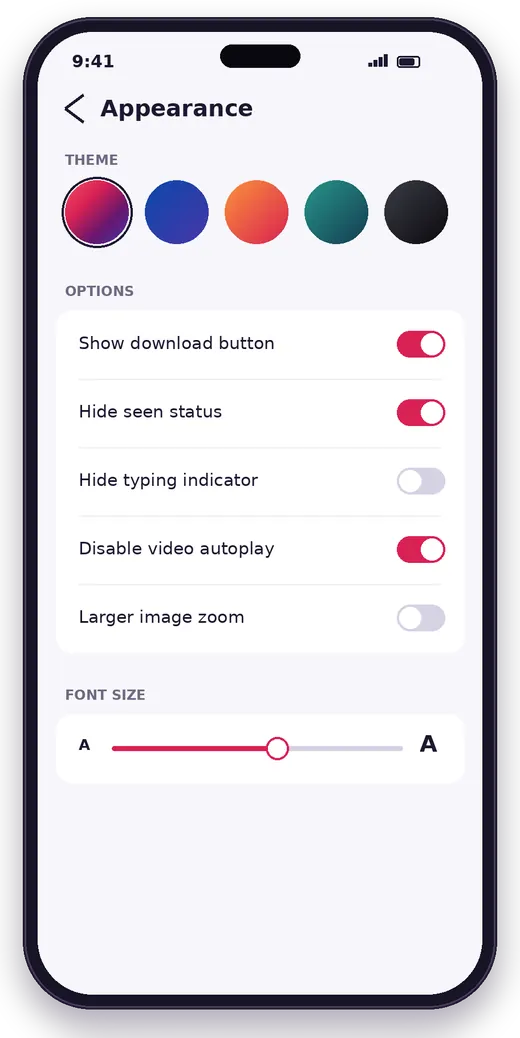 Insta Pro appearance settings with theme colours and toggles
